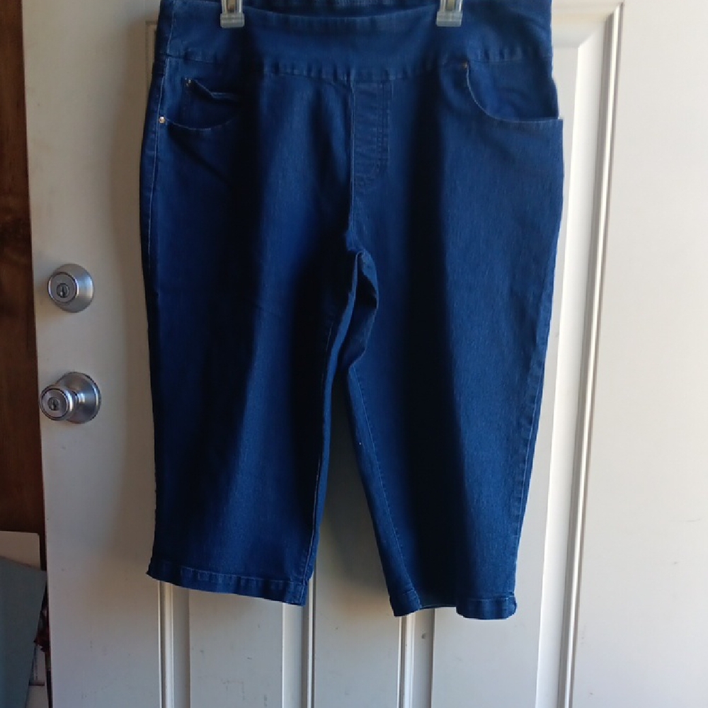 Time and Tru Indigo Stretch Denim Capri Pants